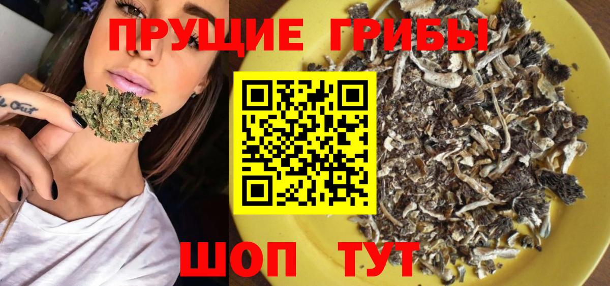 Псилоцибиновые грибы прущие грибы  Псилоцибиновые грибы MAGIC MUSHROOMS  Азнакаево  Вход с VPN 