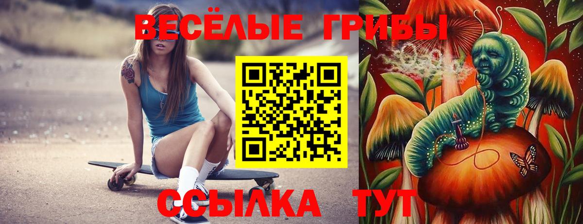 Галлюциногенные грибы GOLDEN TEACHER Азнакаево